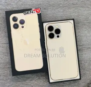 Apple iPhone 13 Pro 256GB (Used)