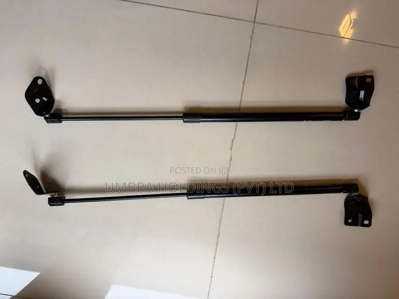 Suzuki Maruti Alto 800 Dicky shocks