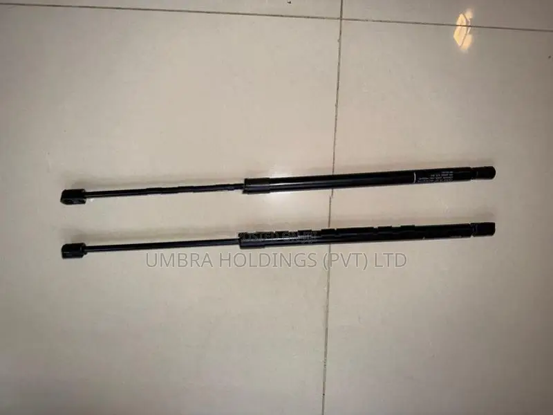 Suzuki Maruti Alto 800 Dicky shocks