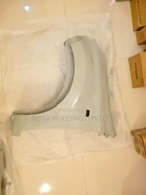 Suzuki Maruti Alto 800 Fender