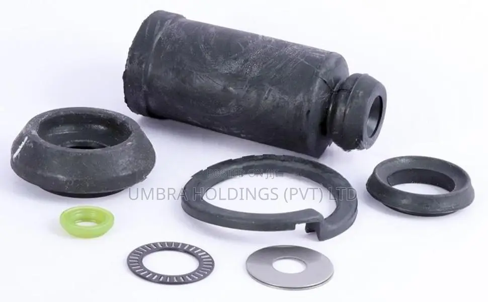 Suzuki Maruti Alto 800 Shock Absorber