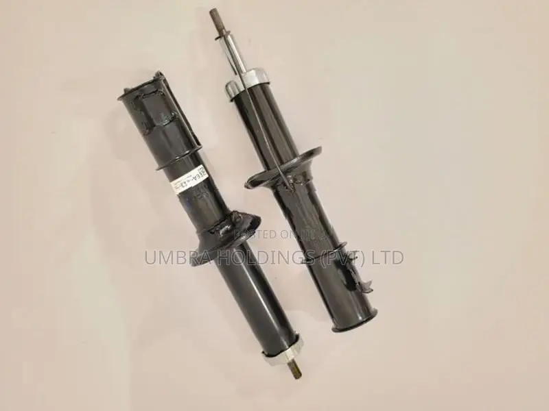 Suzuki Maruti Alto 800 Shock Absorber