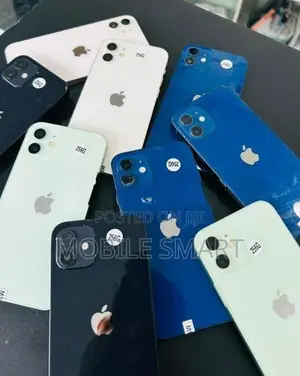 Apple iPhone 12 256GB (Used)