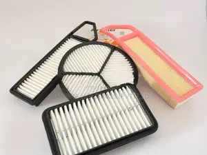 Alto 800 Air Filter