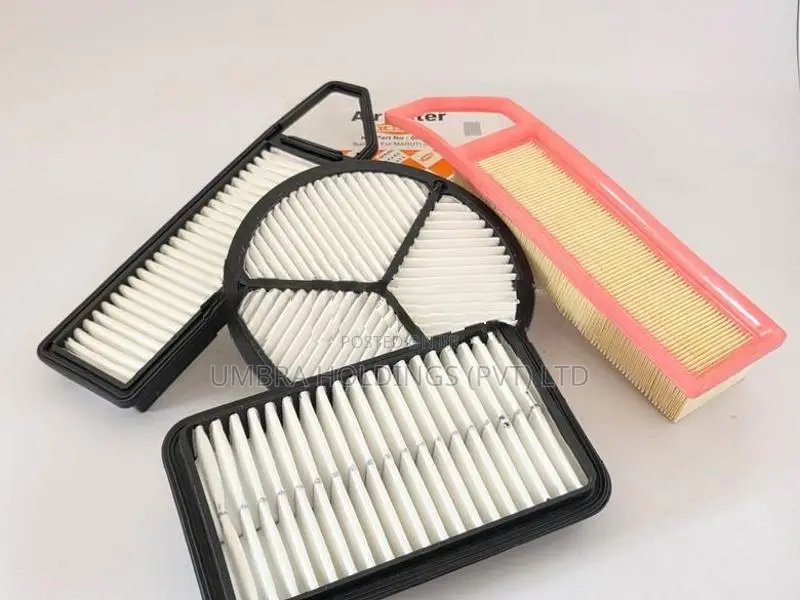 Alto 800 Air Filter