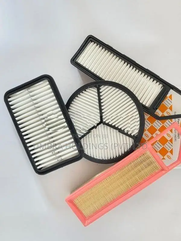 Alto 800 Air Filter