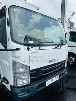 Isuzu Elf Freezer Truck 2017