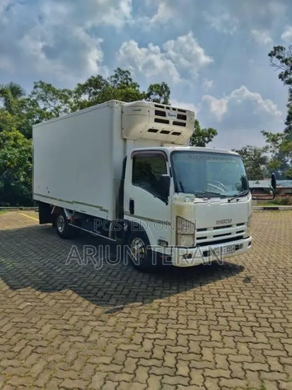 Isuzu Elf Freezer Truck 2013