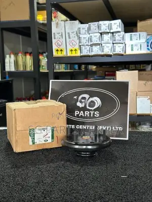Jaguar - Spring Damper Mounting