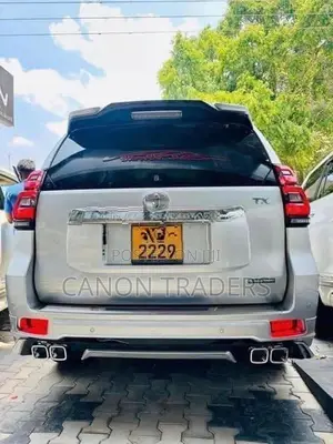Land Cruiser Prado 150 TX Back Door Set