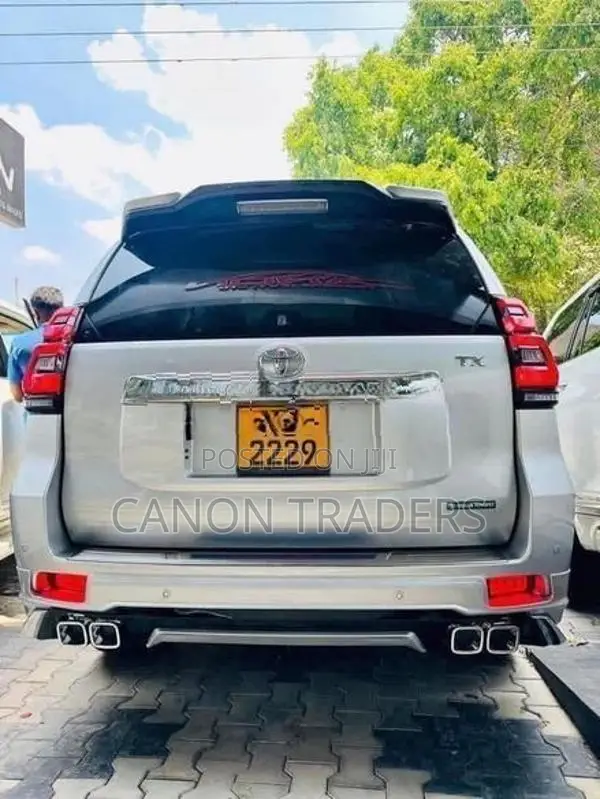 Land Cruiser Prado 150 TX Back Door Set