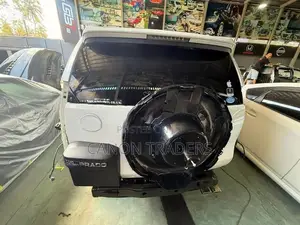 Land Cruiser Prado 150 TX Back Door Set