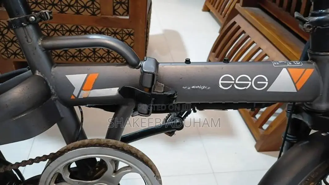Fushige Electric Bicycle
