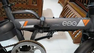 Fushige Electric Bicycle