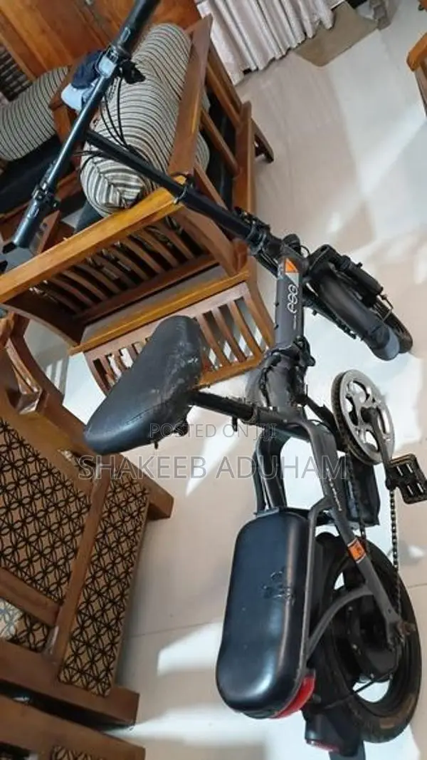 Fushige Electric Bicycle