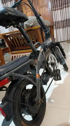 Fushige Electric Bicycle