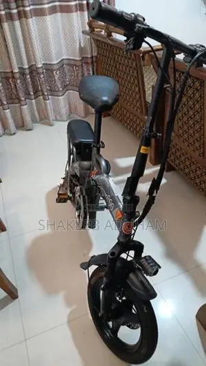 Fushige Electric Bicycle