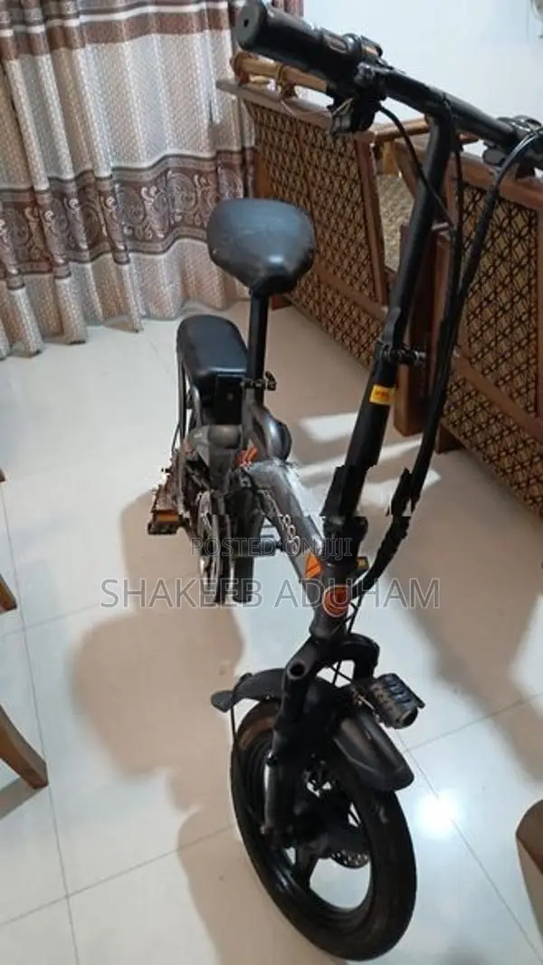 Fushige Electric Bicycle
