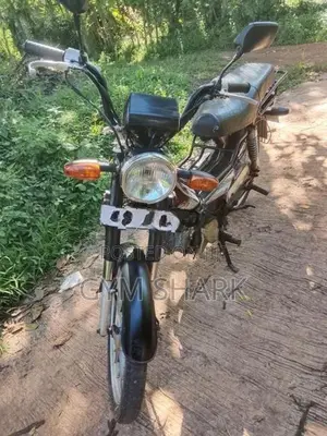 Singer Safari 2018