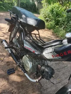 Singer Safari 2018