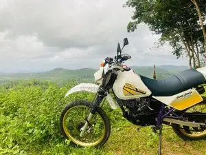 Suzuki SX 1995