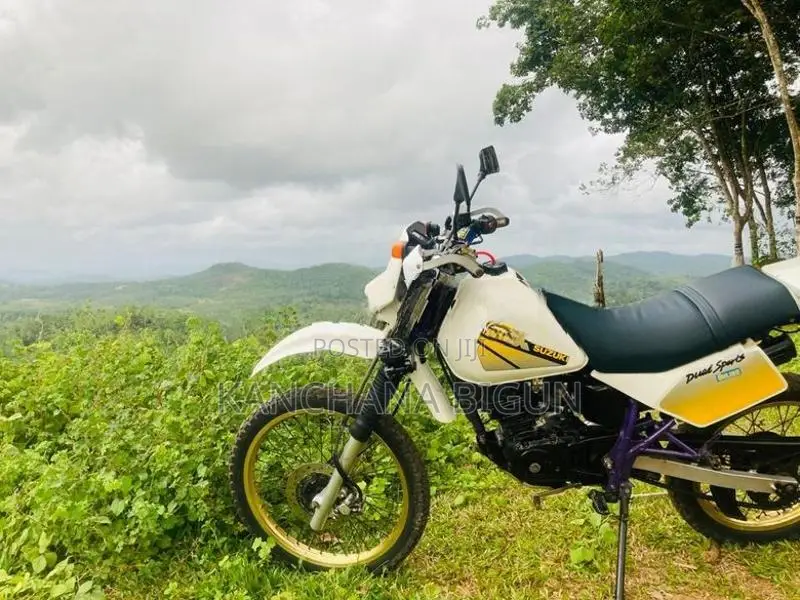 Suzuki SX 1995