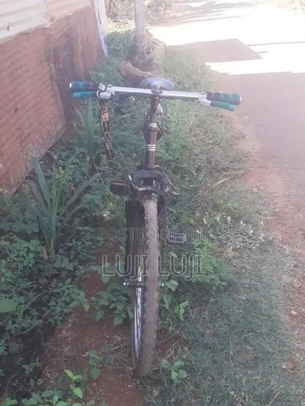 மவுண்டன் சைக்கிள்