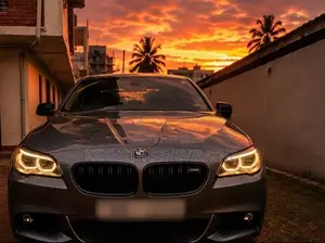 BMW 528i 2011