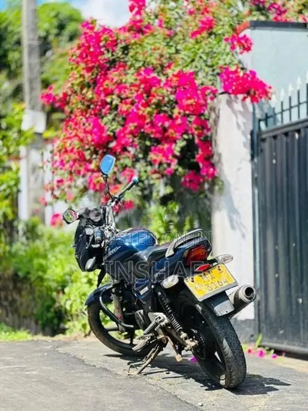 Bajaj Pulsar 150 2005