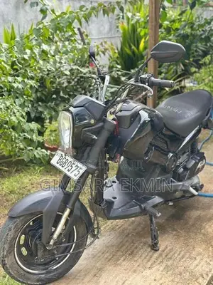 Honda Navi 2018