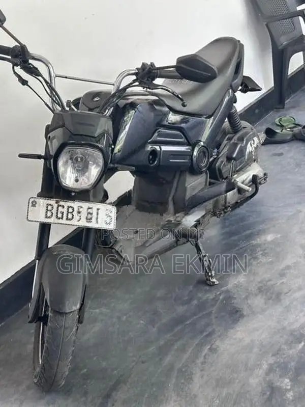 Honda Navi 2018