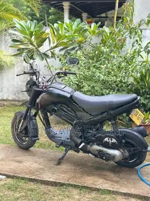 Honda Navi 2018