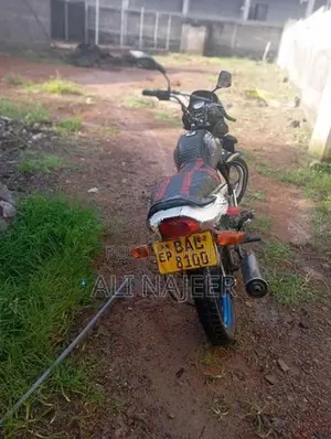 Bajaj Platina 2008
