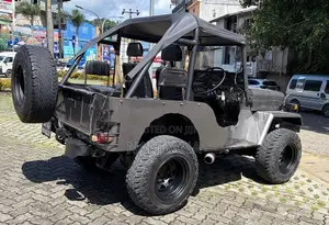Mitsubishi 4DR 1980