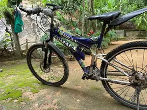 Lumala Bicycle