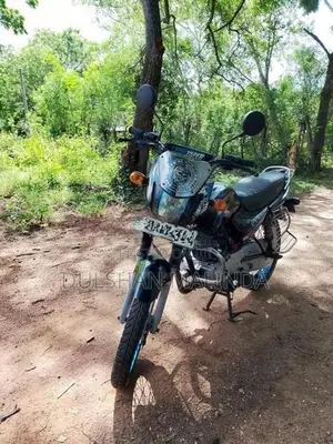 Bajaj CT100 2018
