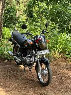 Bajaj CT100 2013