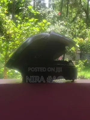 Steel Bird Helmet