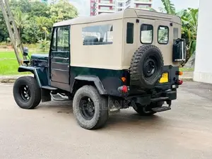Mitsubishi 4DR 1979