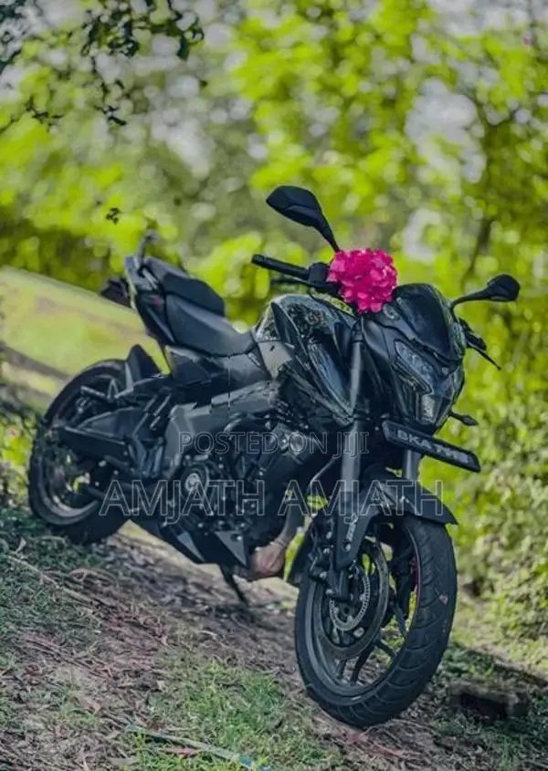 Bajaj Pulsar NS200 2025