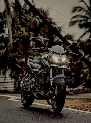 Bajaj Pulsar NS200 2025
