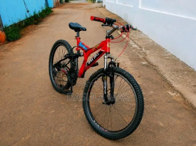 DSI Bicycle