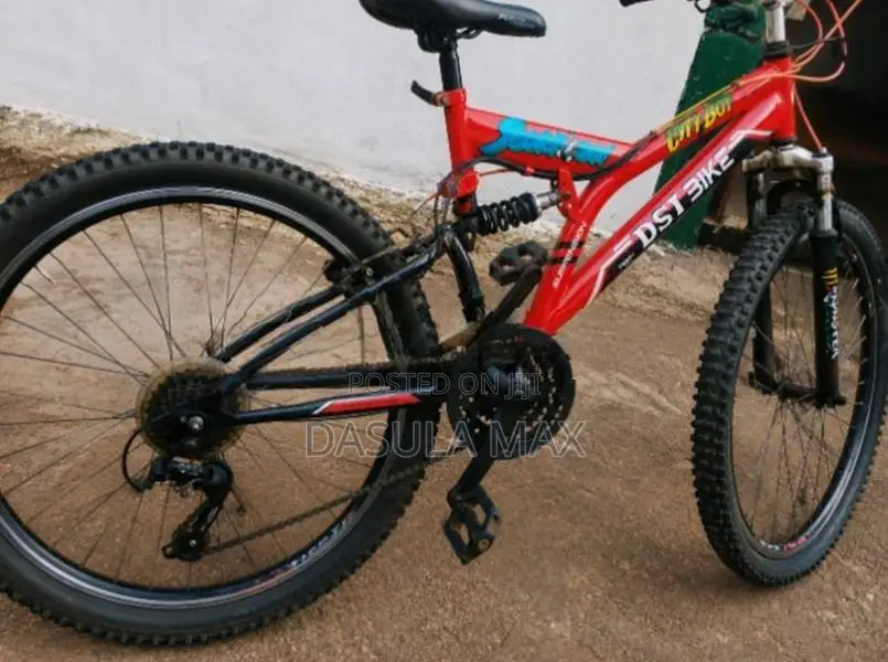 DSI Bicycle