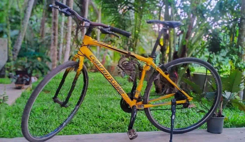 Cannondale Bicycle