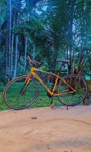 Cannondale Bicycle