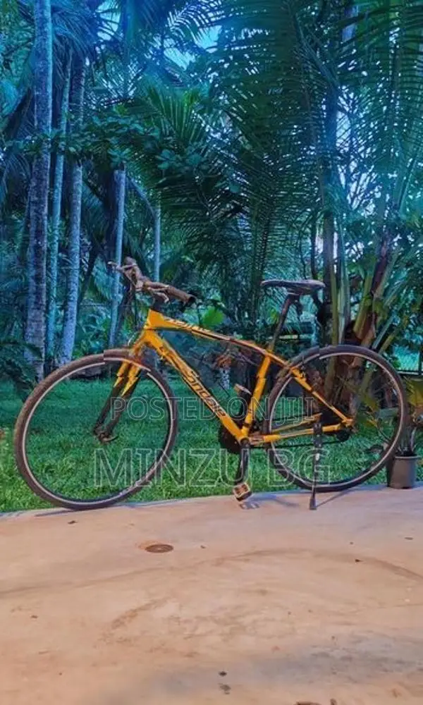 Cannondale Bicycle