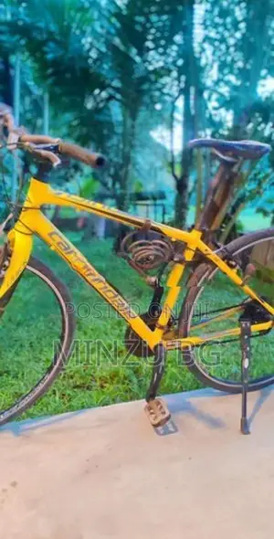 Cannondale Bicycle