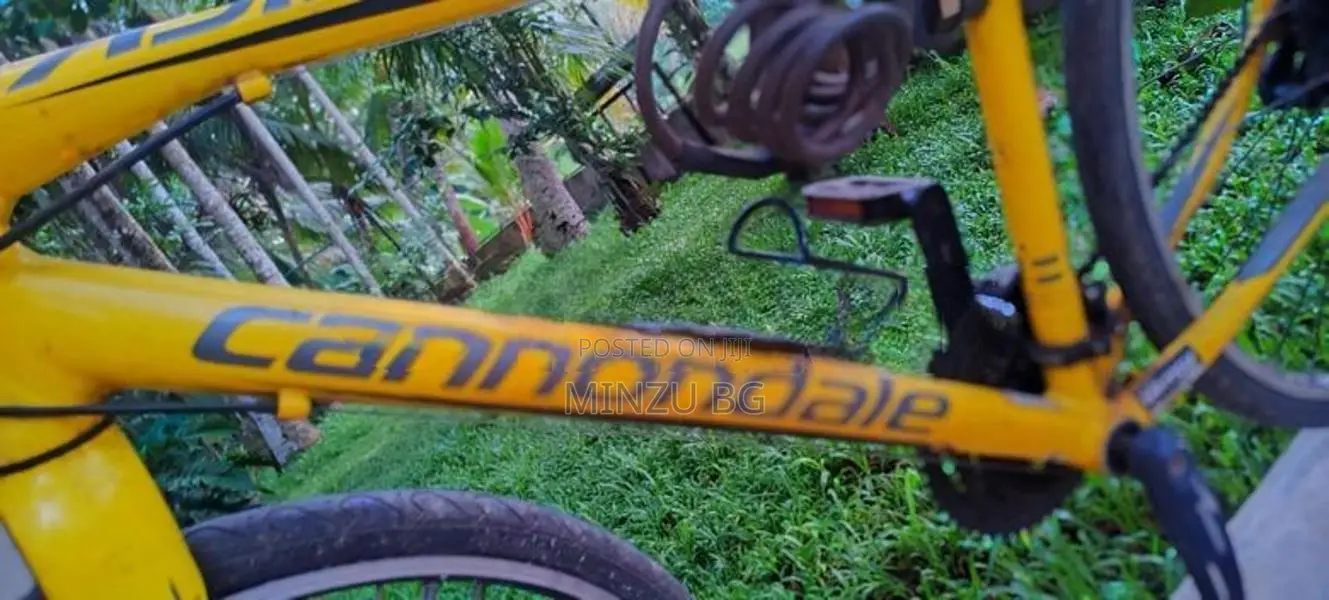 Cannondale Bicycle
