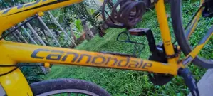 Cannondale Bicycle