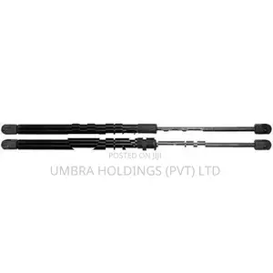 Suzuki Maruti Alto 800 Dicky Shocks